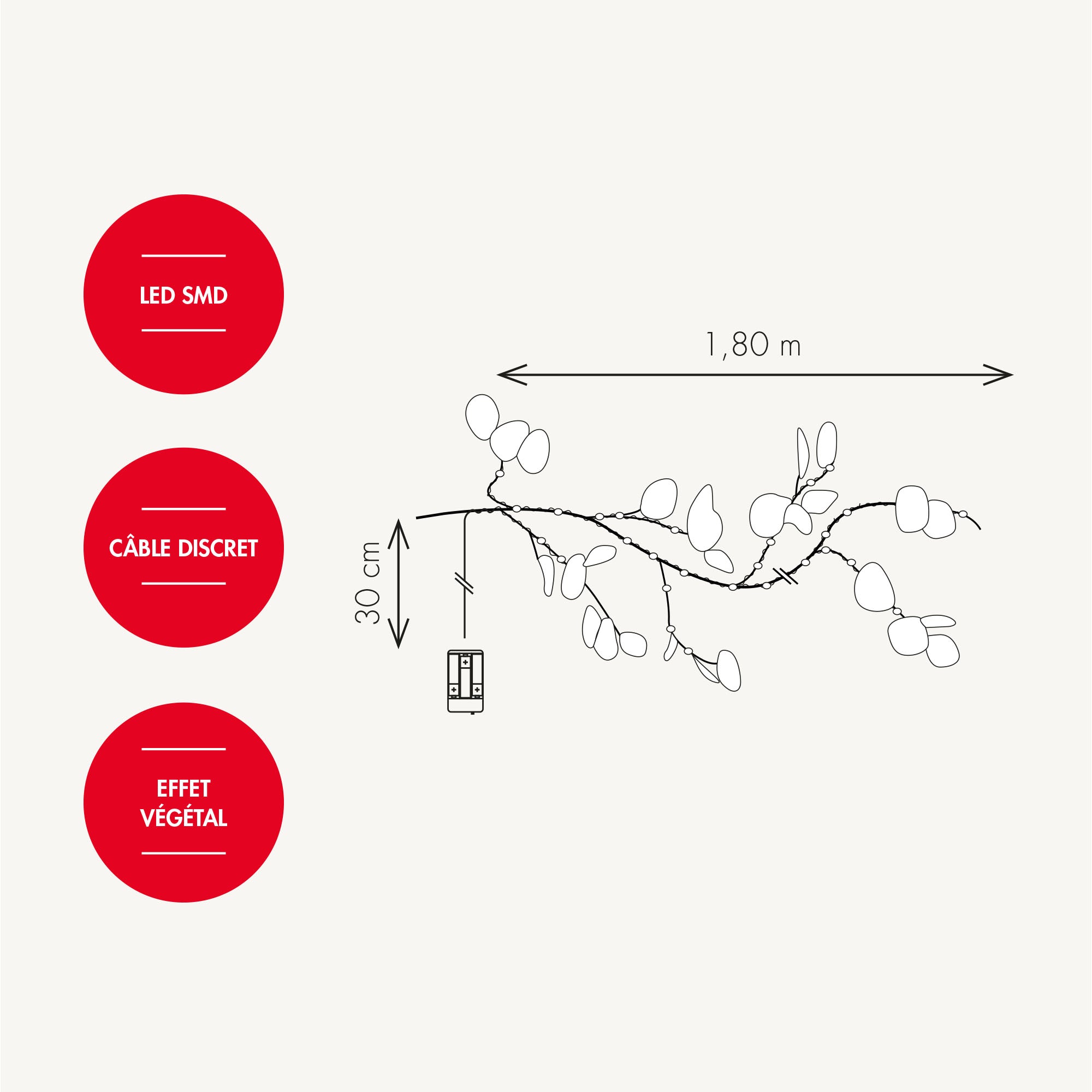 Guirlande branche eucalyptus